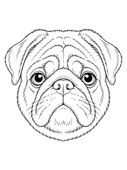Detailed pug coloring page showing a close-up portrait of a wrinkled dog face.