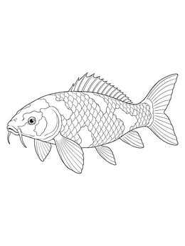 Detailed koi fish coloring page with prominent scales and barbels swimming horizontally.