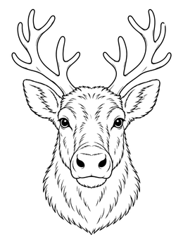 A detailed reindeer coloring page showing a close portrait with branching antlers and textured fur.