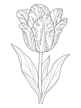 A detailed tulip coloring page showing textured feathering patterns on the petals and stem leaves.