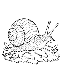 A textured snail coloring page showing the mollusk crawling over soft moss.