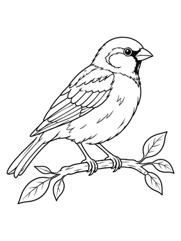A realistic sparrow coloring page perched neatly on a small leafy branch.