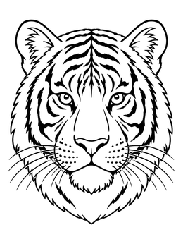 A detailed tiger coloring page portrait with striped fur and long whiskers.