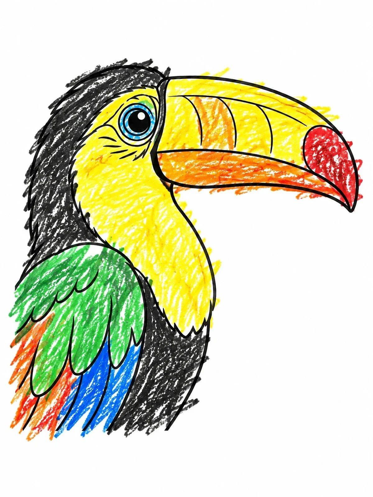 Colored example of the Detailed Toucan Head Profile coloring page
