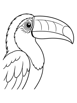 A toucan coloring page featuring a close-up profile of the bird's large beak and head.