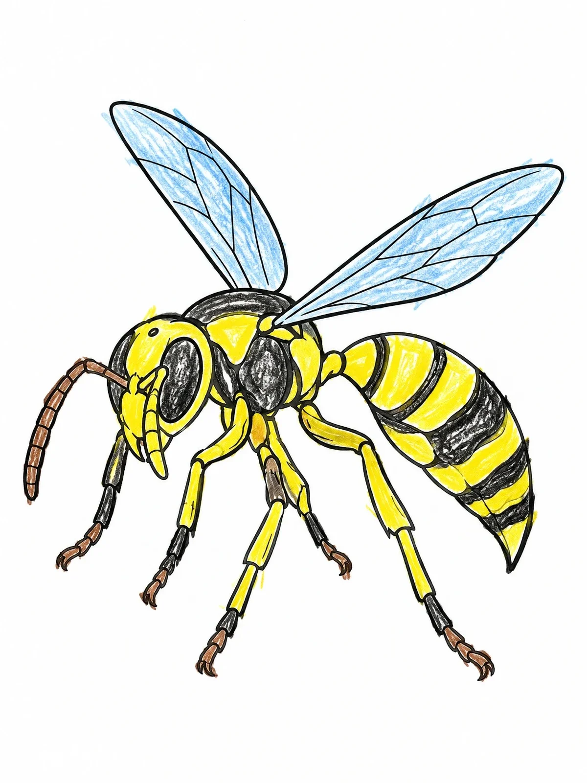 Colored example of the Detailed Flying Wasp Line Art coloring page