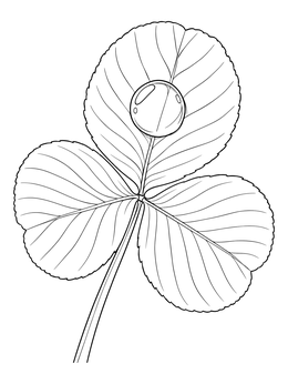 A clear morning dewdrop rests on a clover in this sunrise coloring page.