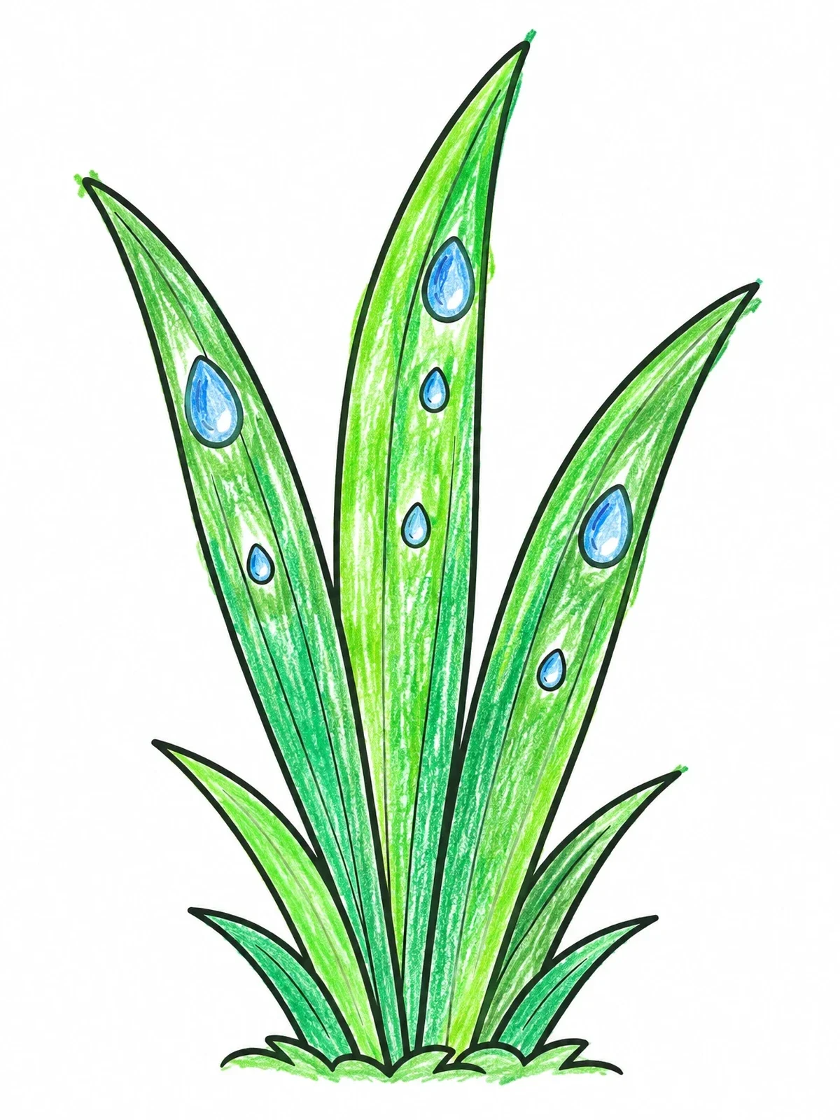 Colored example of the Dewy Grass Blades Close Up coloring page