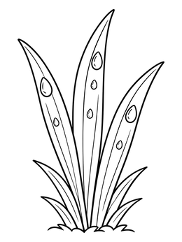 Free printable Dewy Grass Blades Close Up coloring page