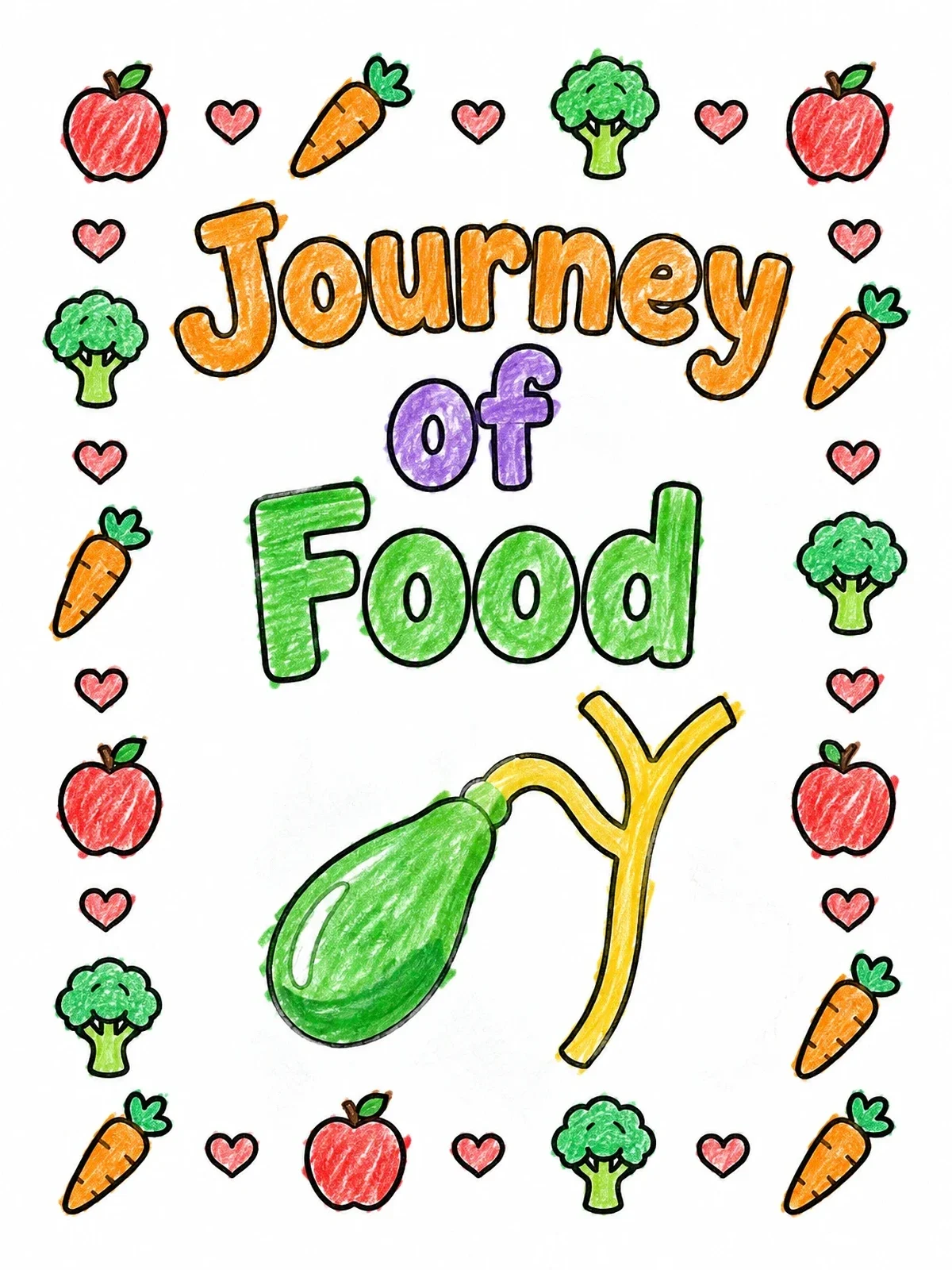 Colored example of the Journey Of Food Gallbladder coloring page
