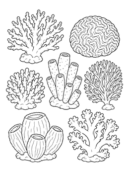 An intricate coral coloring page showing brain coral, sea sponges, and various branching species.