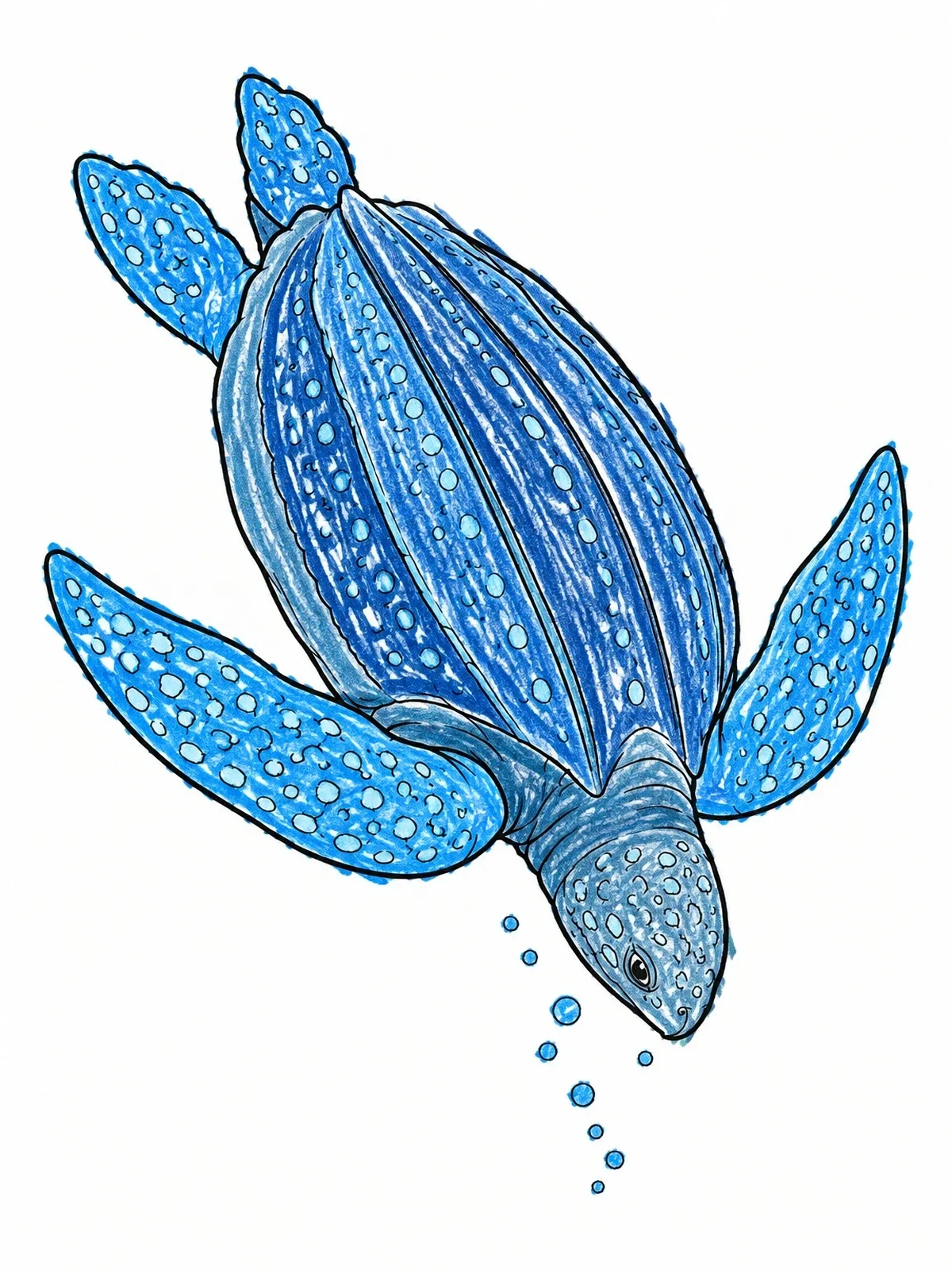 Colored example of the Diving Leatherback Sea Turtle coloring page