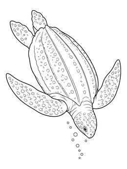 Free printable Diving Leatherback Sea Turtle coloring page