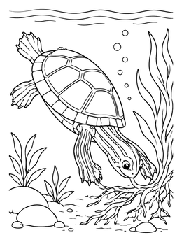 Free printable Diving Painted Turtle Near Plant Roots coloring page