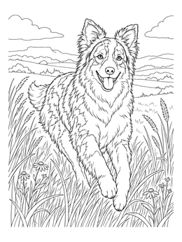 An active Australian Shepherd bounds through meadow grass in this detailed dog coloring page.