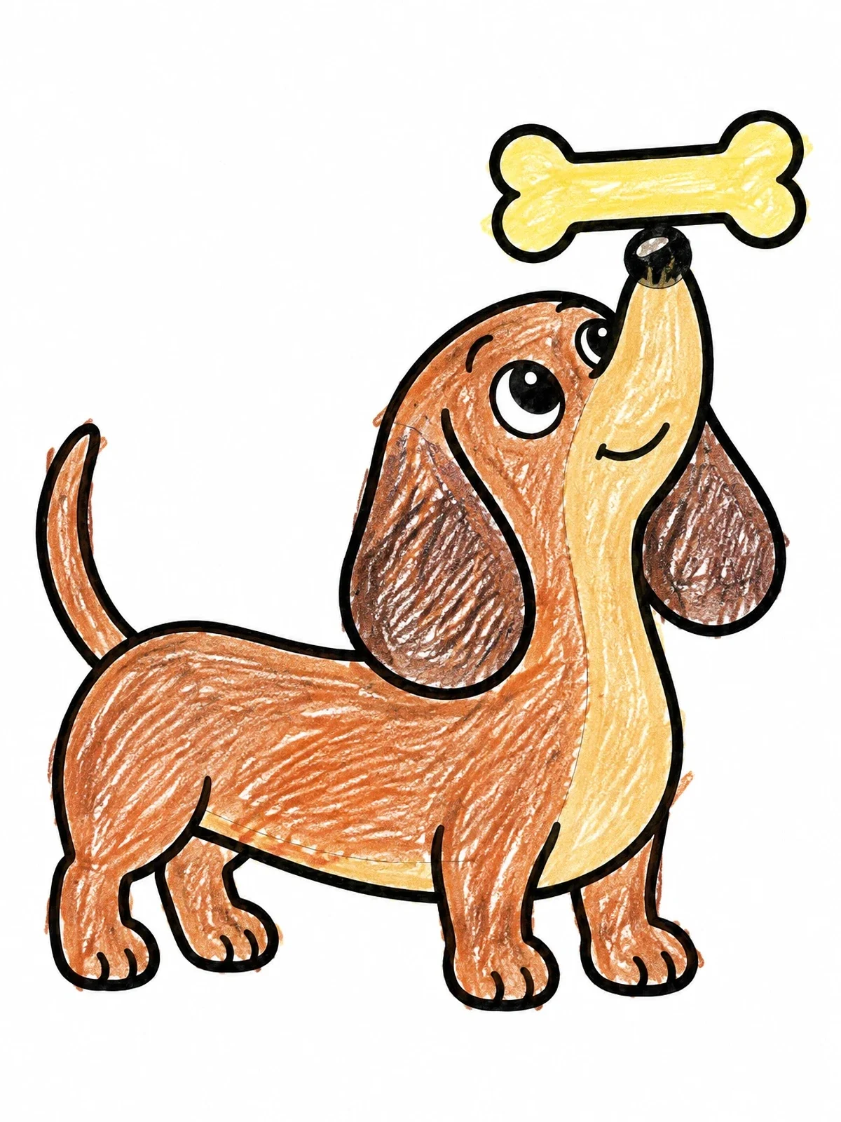 Colored example of the Playful Dachshund Balancing A Bone coloring page