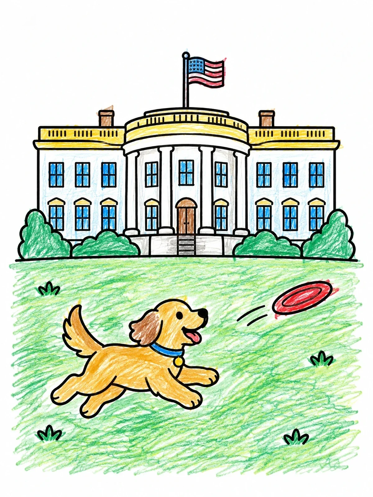 Colored example of the Dog Playing Frisbee At The White House coloring page