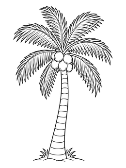 Free printable Tropical Coconut Palm Tree coloring page