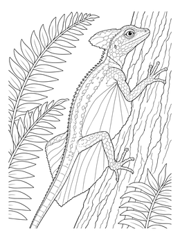 A detailed draco coloring page showing a flying lizard resting on a textured tree trunk beside lush ferns.