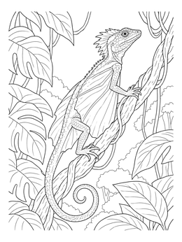 A detailed draco coloring page showing a flying lizard perched on a twisted vine in the jungle.