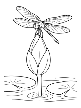 A dragonfly perches on a closed bud in this lotus flower coloring page.