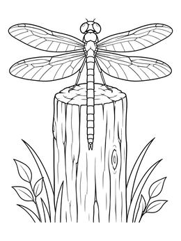 A detailed dragonfly coloring page showing the insect resting on a wooden fence post.