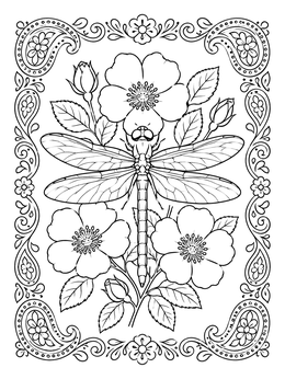 A detailed dragonfly coloring page resting among blooming wild roses inside an intricate paisley frame.