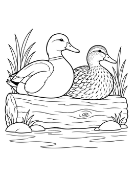 A duck coloring page featuring two mallards resting on a wooden log by the water.