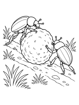 A beetle coloring page showing two dung beetles rolling a textured mud ball up a path.