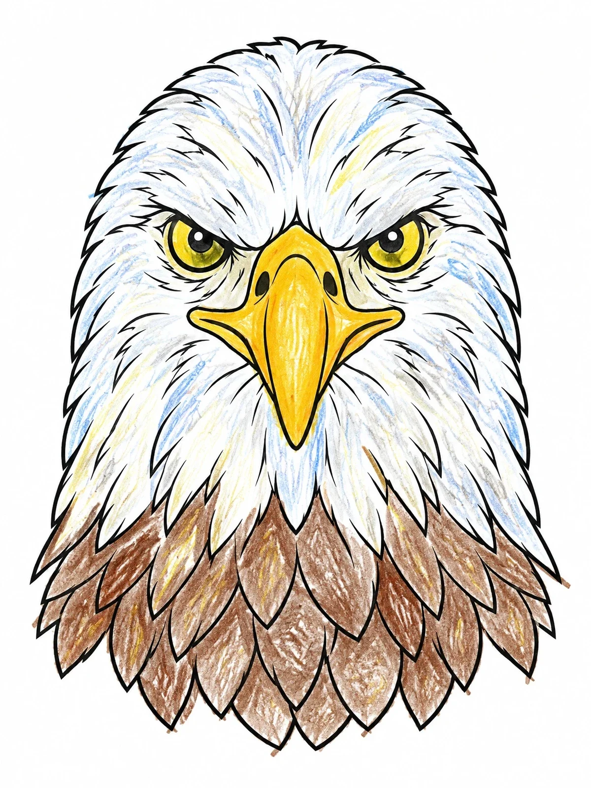 Colored example of the Bald Eagle Head Portrait coloring page