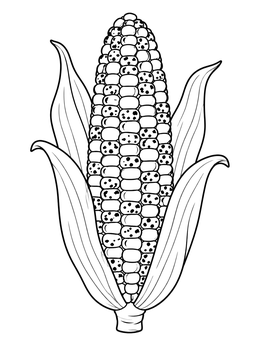 An ear of flint corn coloring page with spotted kernels and open husks.