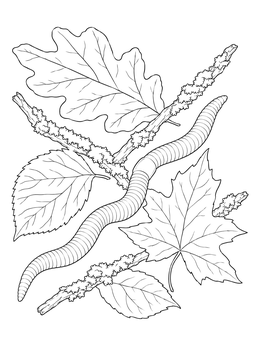 Detailed earthworm crawling among forest leaves on this worm coloring page.