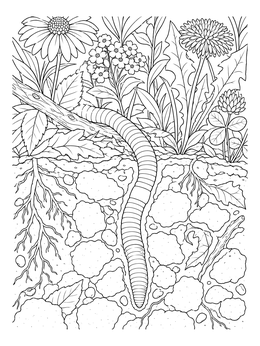 An underground worm coloring page featuring an earthworm tunneling beneath blooming garden flowers.