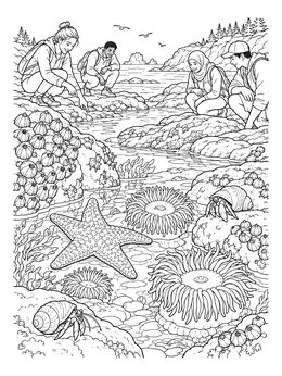 Students explore sea creatures in this ecology coloring page featuring starfish and anemones.