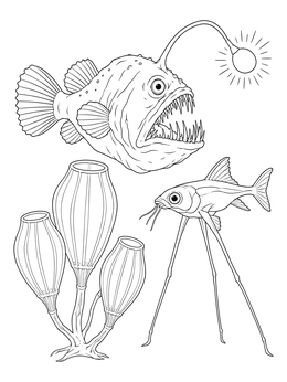 An anglerfish, tripod fish, and glass sponges in a deep sea ecosystem coloring page.