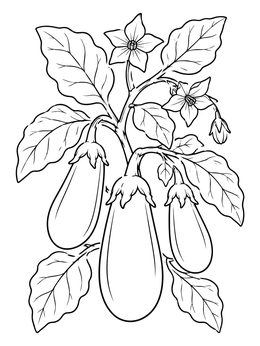 A detailed eggplant coloring page showing ripe eggplants, delicate blossoms, and leafy branches.