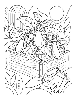 An eggplant coloring page showing eggplants growing in a wooden garden planter with gardening tools.