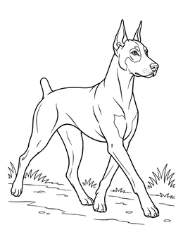 Free printable Elegant Doberman Pinscher On Path coloring page