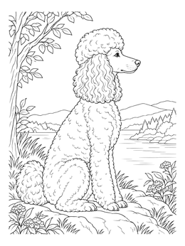 An elegant poodle sits peacefully beside a scenic lake in this poodle coloring page.
