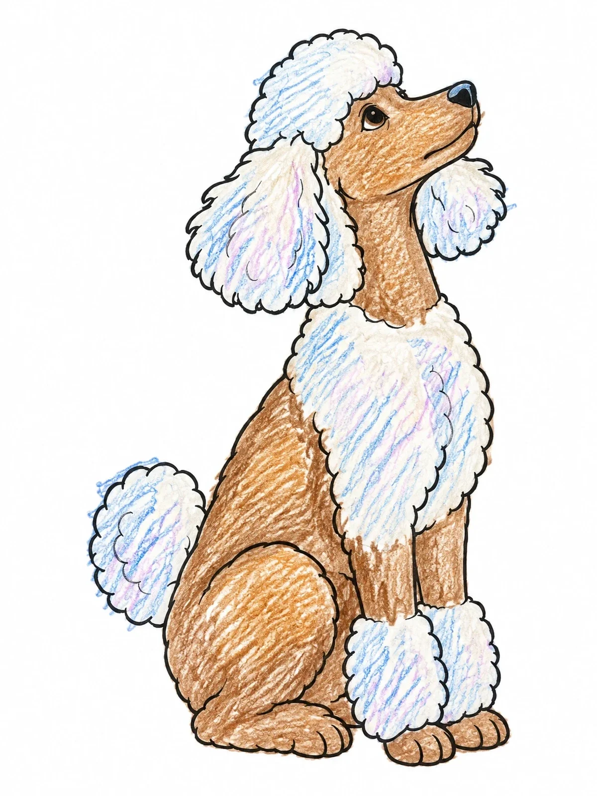 Colored example of the Elegant Poodle Looking Up coloring page