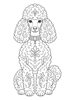 An ornate poodle coloring page featuring symmetrical curls and a jeweled collar.