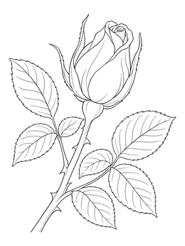 A detailed rose coloring page showing an elegant rose bud on a thorny stem with leaves.