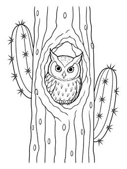 Free printable Elf Owl In Saguaro Cactus Cavity coloring page