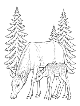 Free printable Elk Cow With Spotted Calf coloring page