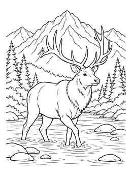 Majestic Elk in Mountain Stream coloring page