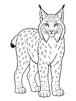 Free printable Eurasian Lynx From Belarus coloring page