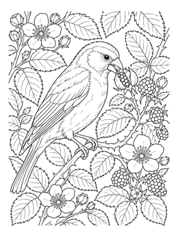 A detailed finch coloring page showing the bird perched among wild blackberry brambles and blossoms.