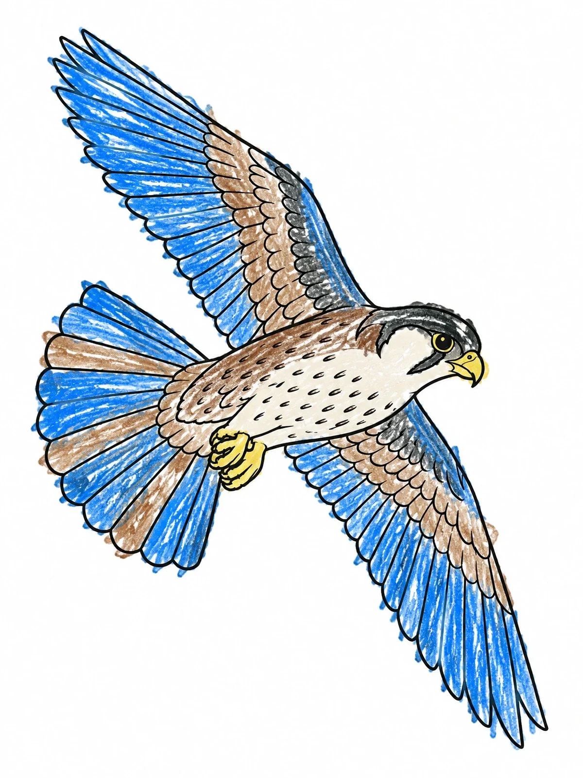 Colored example of the Falcon Soaring In Flight coloring page