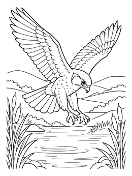 A falcon swooping toward a pond in this falcon coloring page.