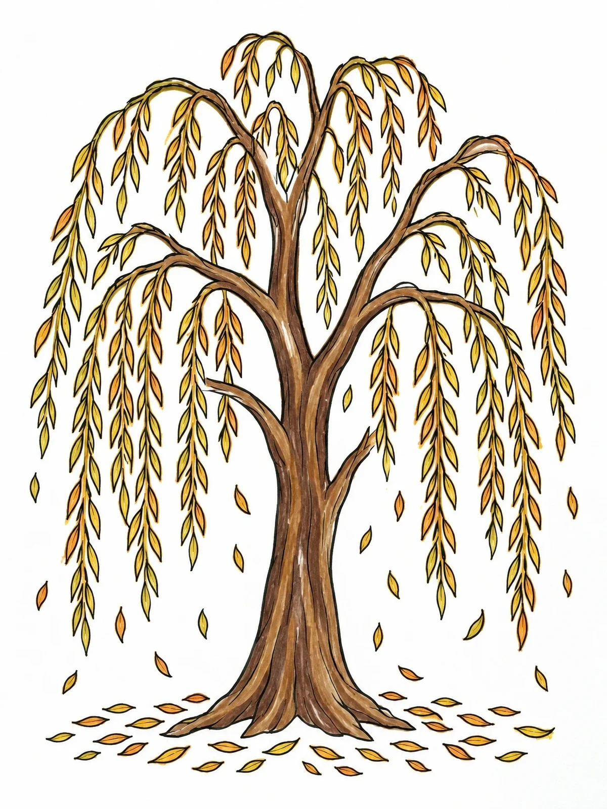 Colored example of the Graceful Autumn Weeping Willow Tree coloring page